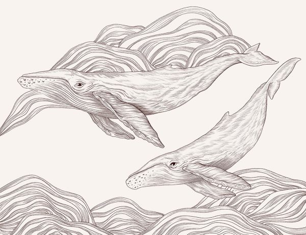 Papier peint baleines délicates linéaires sur fond clair
