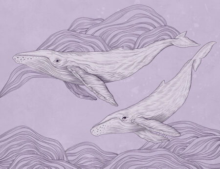 Papier peint baleines délicates linéaires sur fond clair
