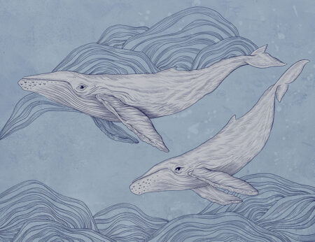 Papier peint baleines délicates linéaires sur fond clair