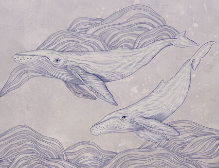 Papier peint baleines délicates linéaires sur fond clair