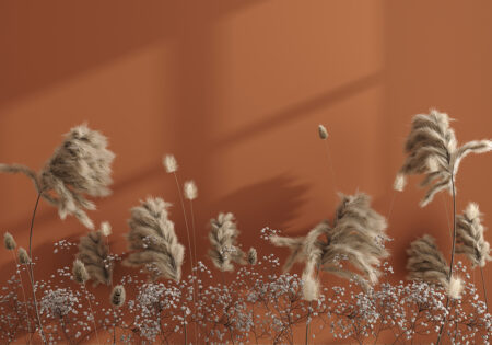 papier peint épillets 3d sur fond marron