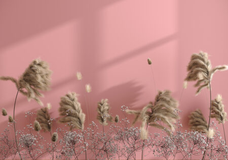 papier peint épillets 3d sur fond rose