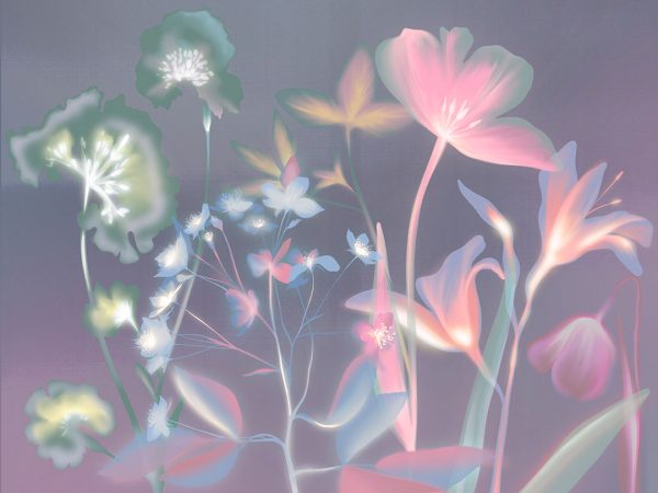 Empreintes de fleurs colorées avec un papier peint effet rayons X