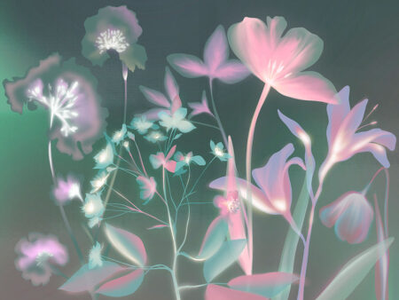 Empreintes de fleurs colorées avec un papier peint effet rayons X