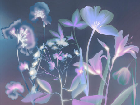 Empreintes de fleurs colorées avec un papier peint effet rayons X