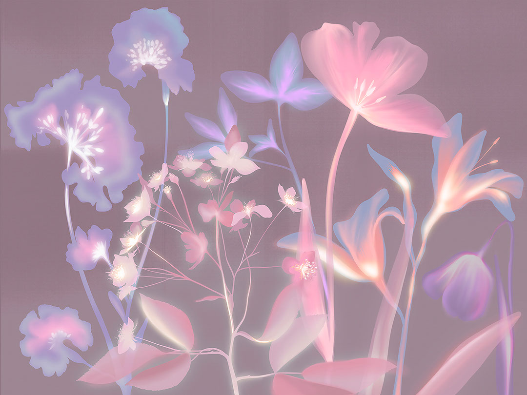 Empreintes de fleurs colorées avec un papier peint effet rayons X