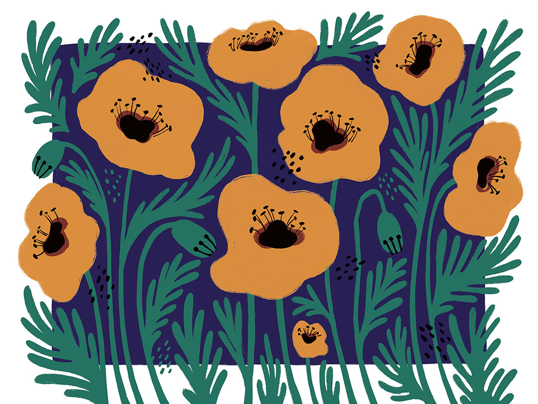 Fleurs lumineuses illustrées avec papier peint à fond asymétrique