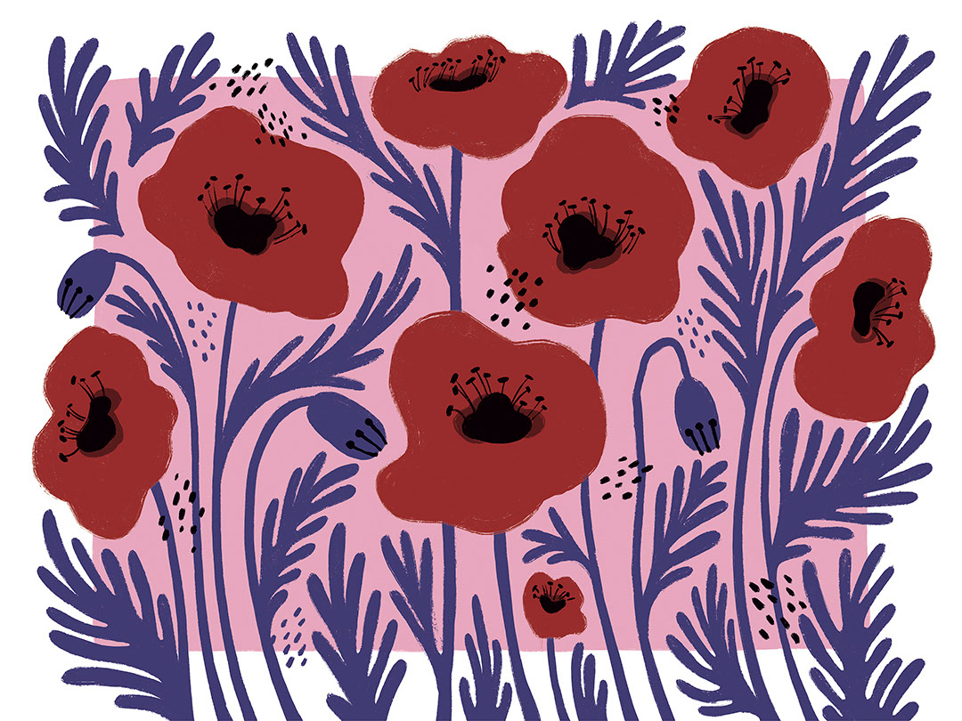 Fleurs lumineuses illustrées avec papier peint à fond asymétrique