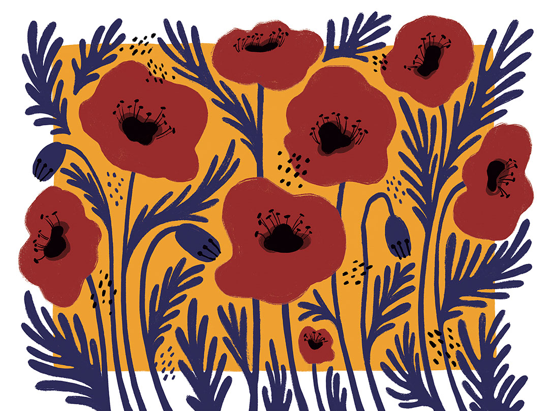 Fleurs lumineuses illustrées avec papier peint à fond asymétrique