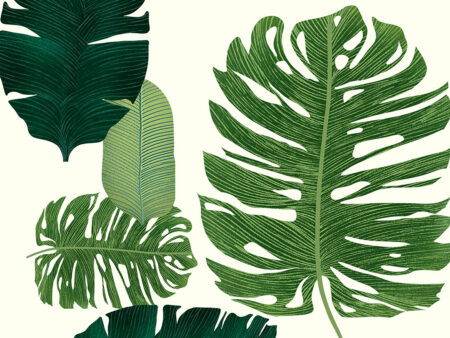 Papier peint feuilles de palmier illustrées surdimensionnées