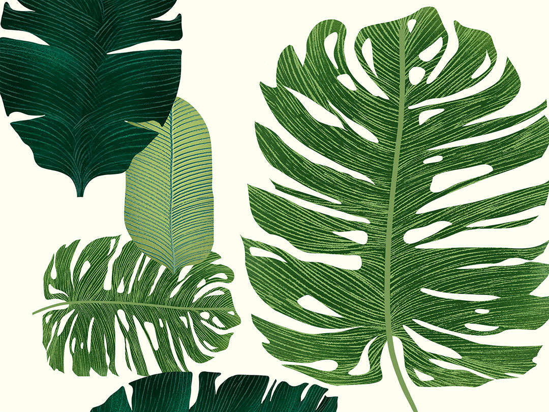 Papier peint feuilles de palmier illustrées surdimensionnées