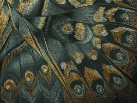 Papier peint empreinte d’aile de papillon