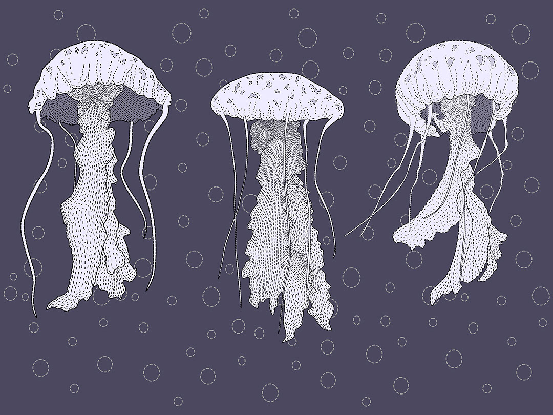 Papier peint méduse Linework avec bulles d’eau