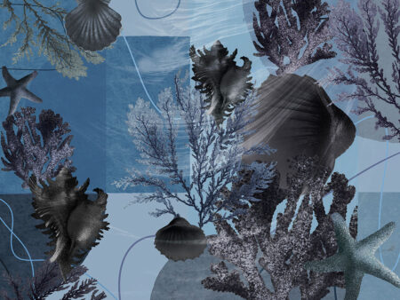 Papier peint coquillage foncé et étoile de mer