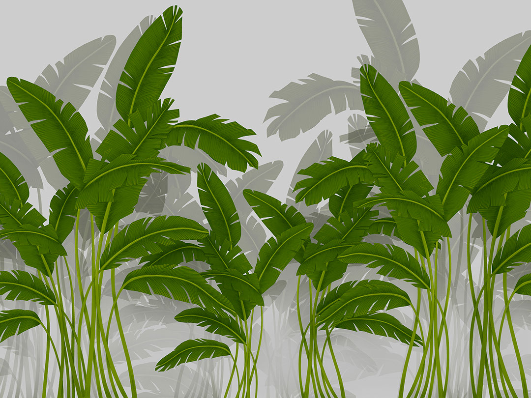 Papier peint feuille de bananier illustré tropical