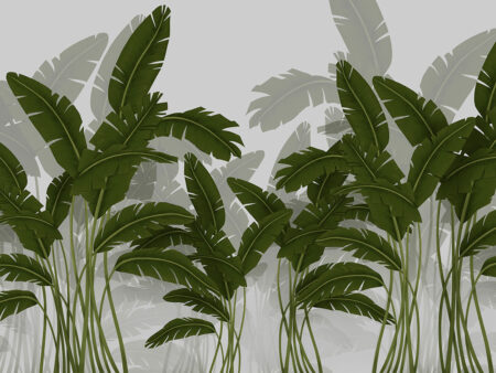 Papier peint feuille de bananier illustré tropical