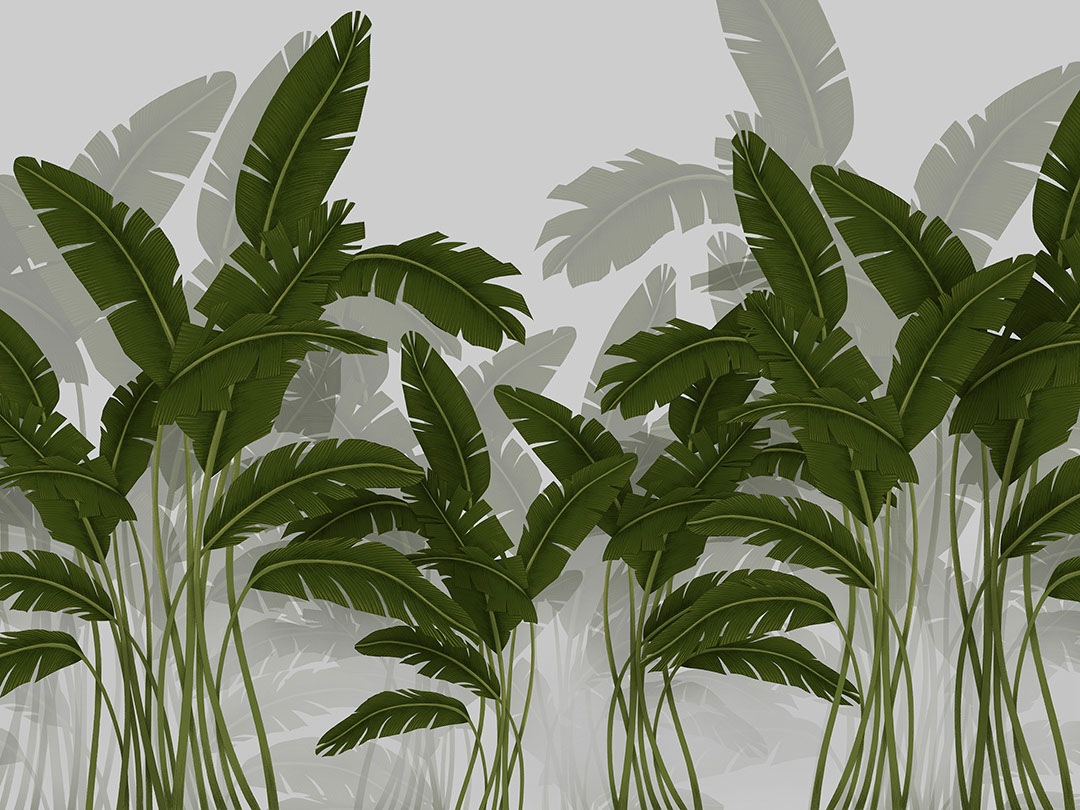 Papier peint feuille de bananier illustré tropical