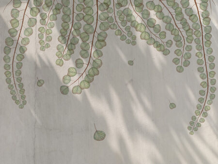 Papier peint branches botaniques en surplomb avec feuilles transparentes