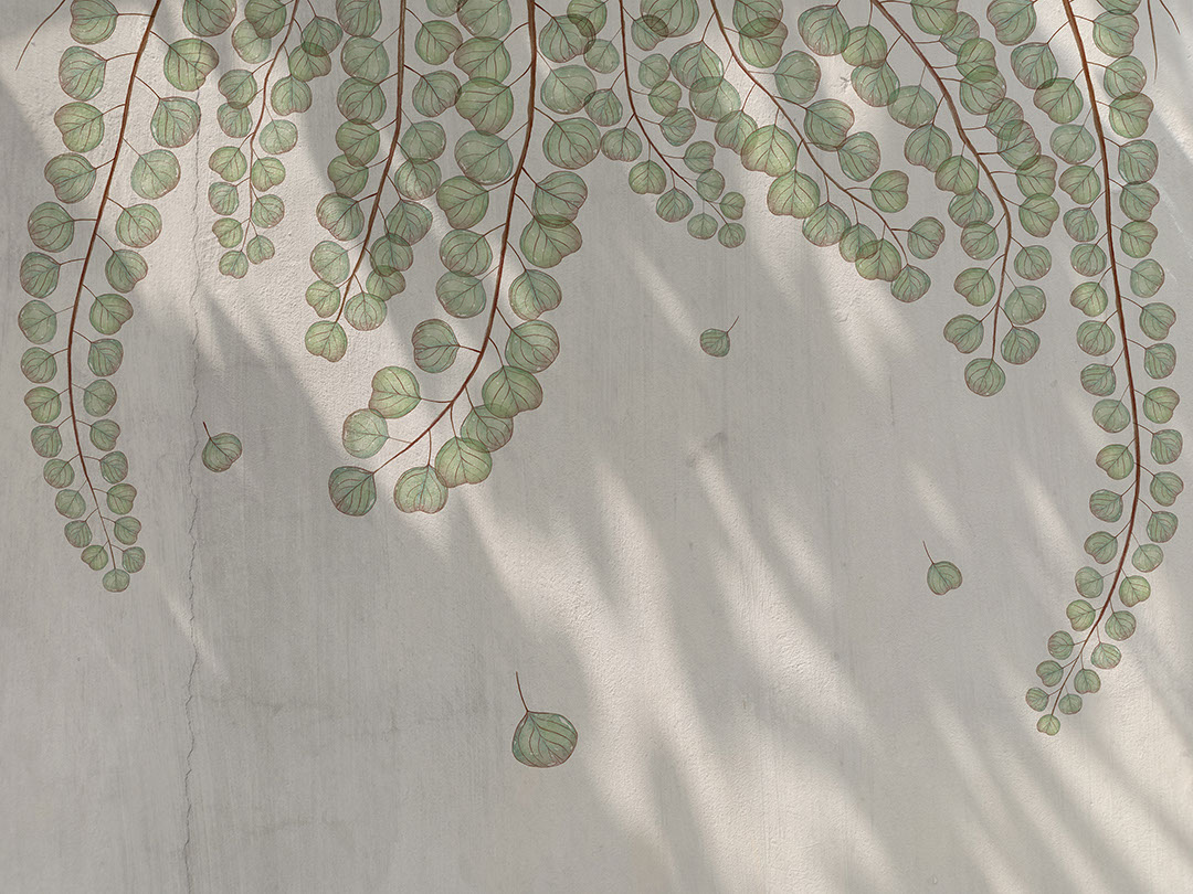 Papier peint branches botaniques en surplomb avec feuilles transparentes