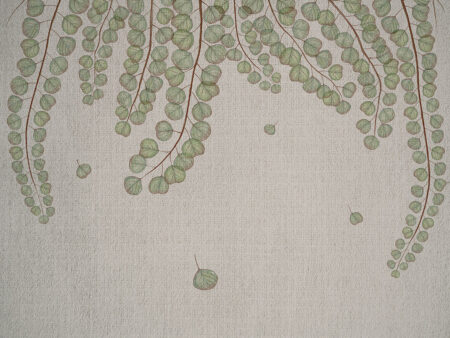 Papier peint branches botaniques en surplomb avec feuilles transparentes