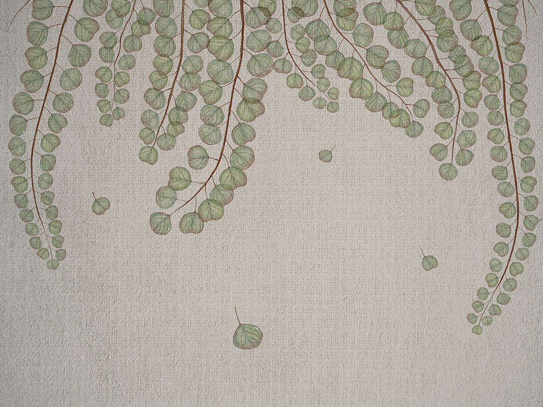Papier peint branches botaniques en surplomb avec feuilles transparentes