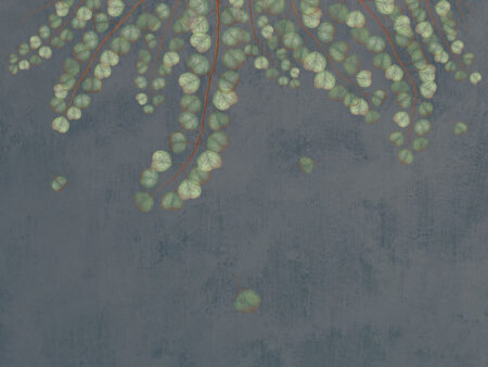Papier peint branches botaniques en surplomb avec feuilles transparentes