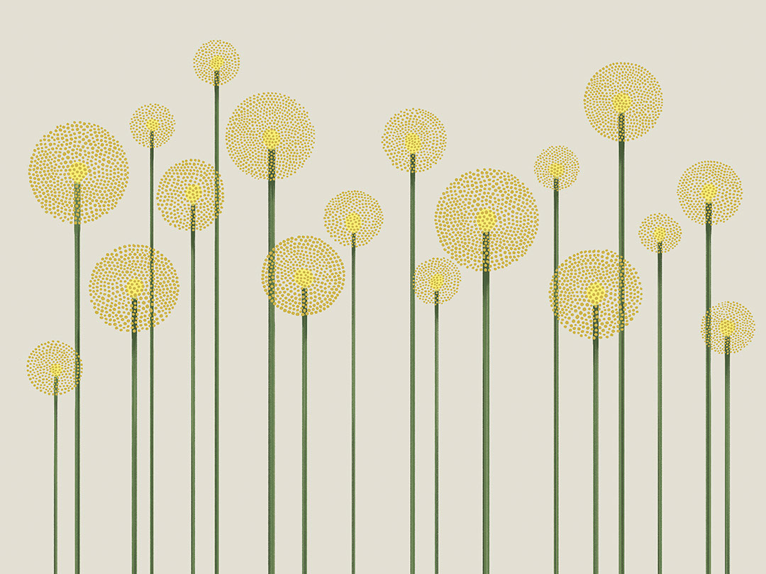 Papier peint pissenlits minimalistes illustrés