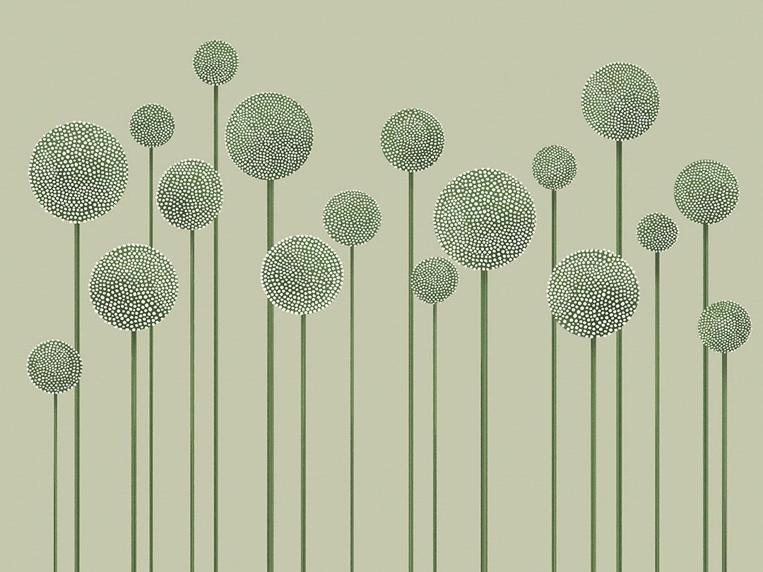 Papier peint pissenlits minimalistes illustrés