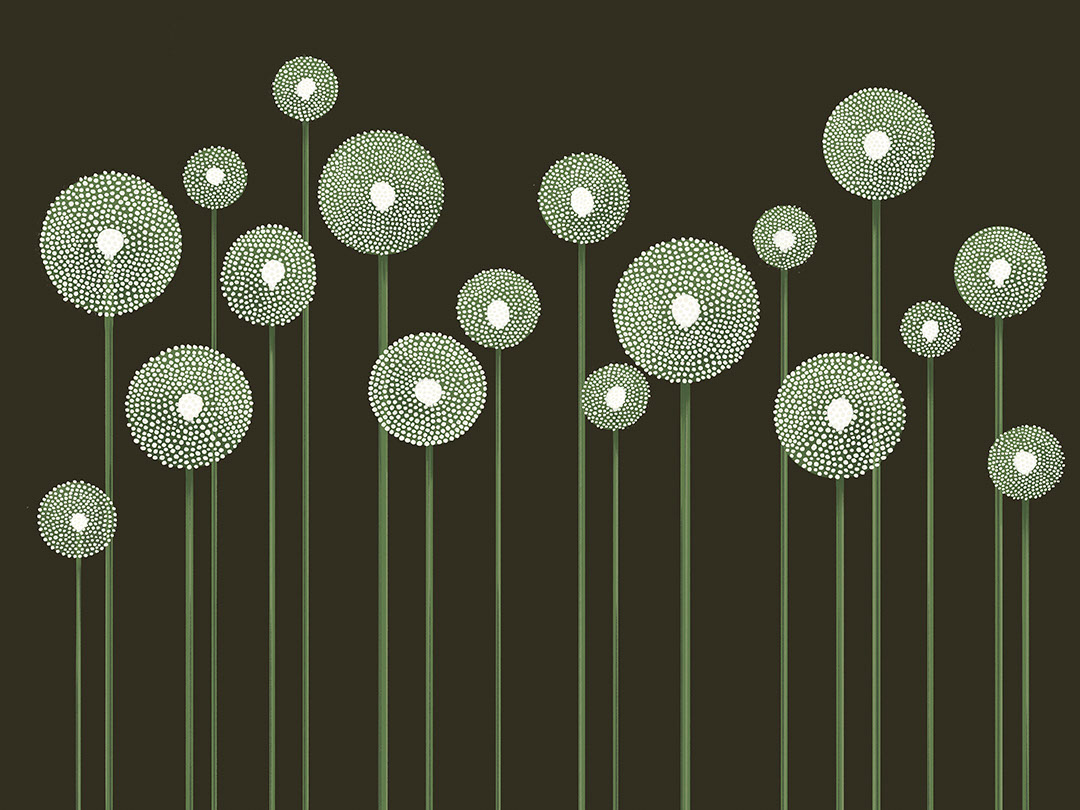 Papier peint pissenlits minimalistes illustrés