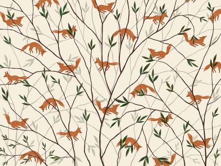 Papier peint petits renards sur des branches d’arbres