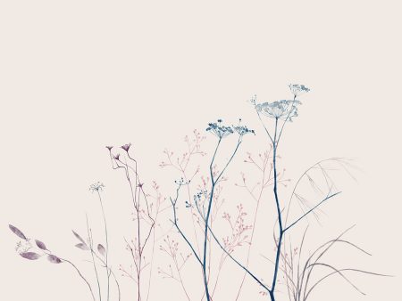Papier peint botanique délicat à l’aquarelle sur fond pastel