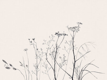 Papier peint botanique délicat à l’aquarelle sur fond pastel