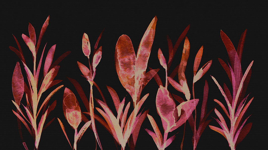 Papier peint botaniques à l’aquarelle