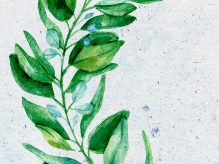 Papier peint surdimensionné branche de fleur aquarelle