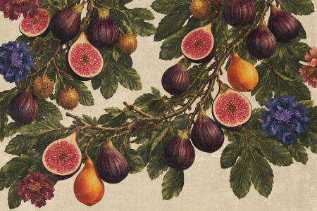 Botanical illustration of fig branches with ripe purple and orange figs, some halved to show pink interiors among green leaves and purple flowers.